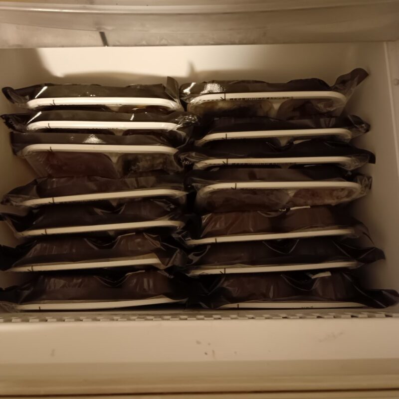 ミニ冷凍庫に収まったミールズ14食