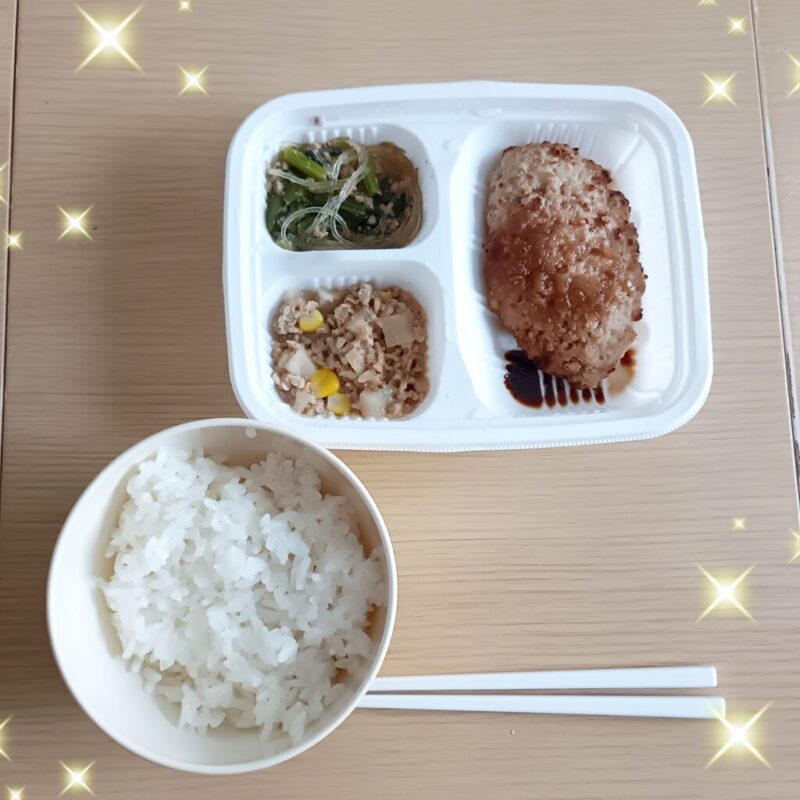 モグモデリ 和風ハンバーグ