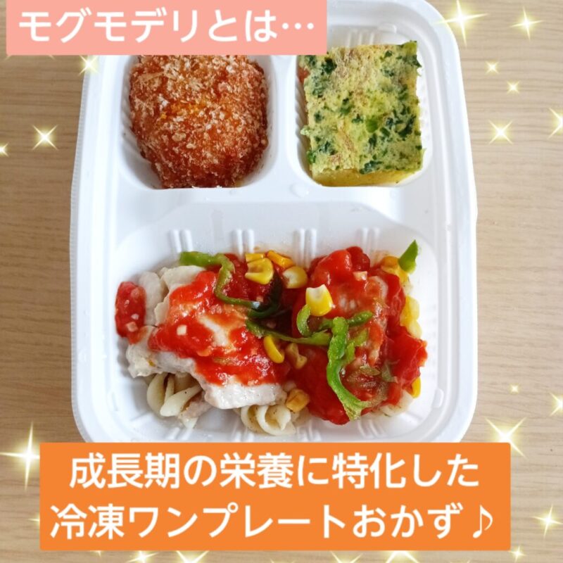 モグモデリとは